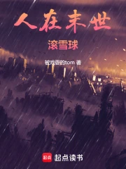 ����ĩ����ѩ��