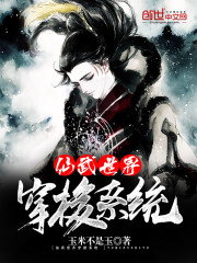 �������紩��ϵͳ