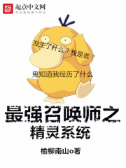 ��ǿ�ٻ�ʦ֮����ϵͳ