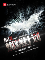 ����ȼ�ռƻ�