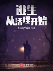 �����ӻ���ʼ