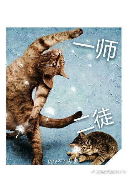 ʦ������������(ȫ��)