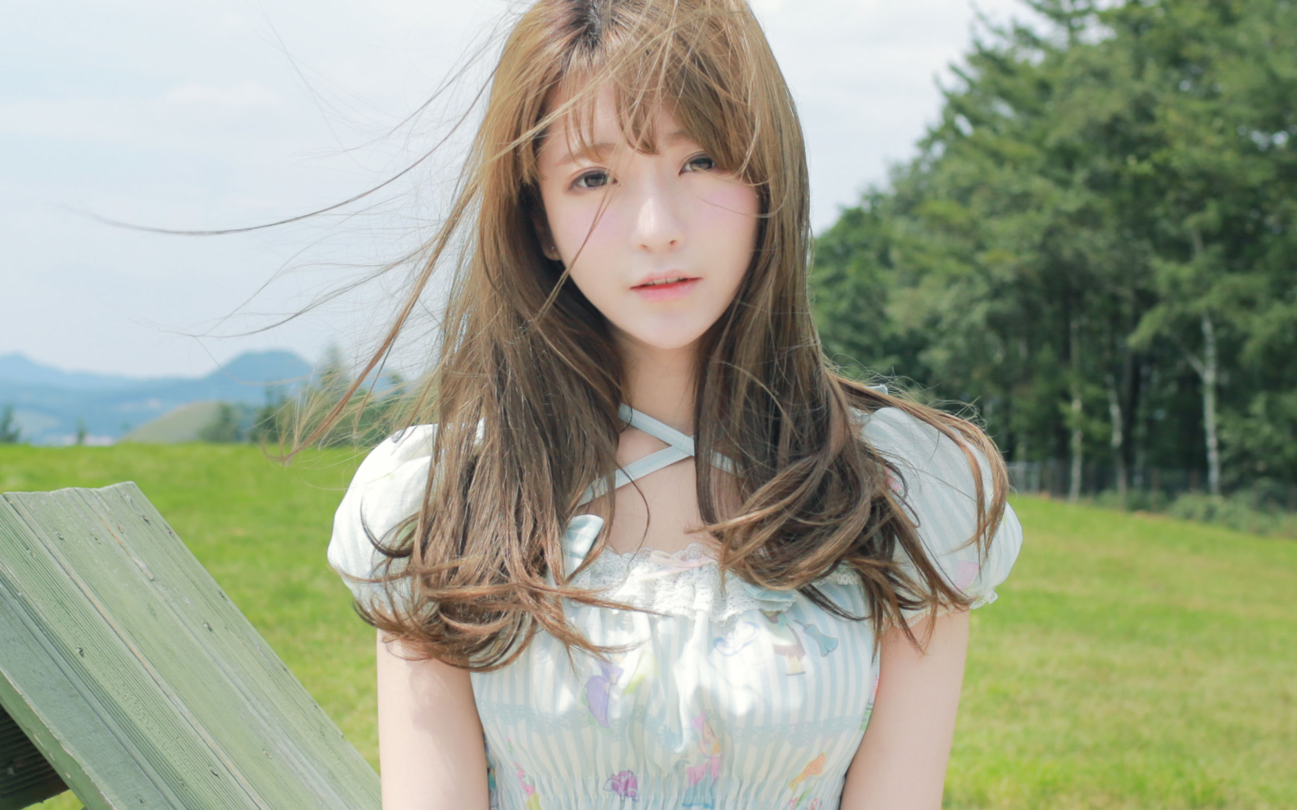 �̻���ȼ(ȫ��)