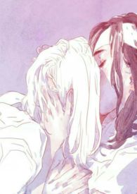 ȹ��֮��(ȫ��)