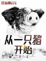 ��һֻ����ʼ