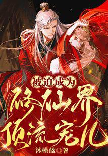 ���ȳ�Ϊ���ɽ綥�����