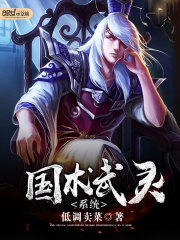 ��������ϵͳ