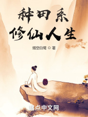 ����ϵ��������