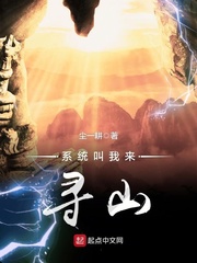 ϵͳ������Ѱɽ