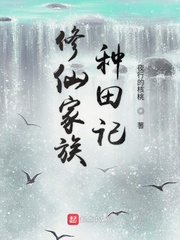 ���ɼ��������